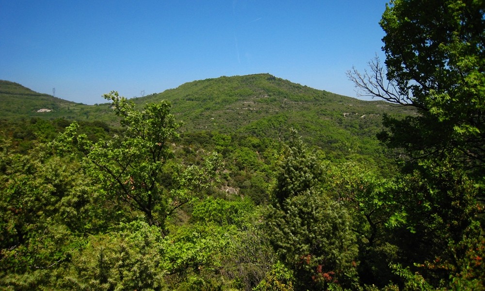 le Pic de chenavari vu du S (et la THT venant de la centrale)