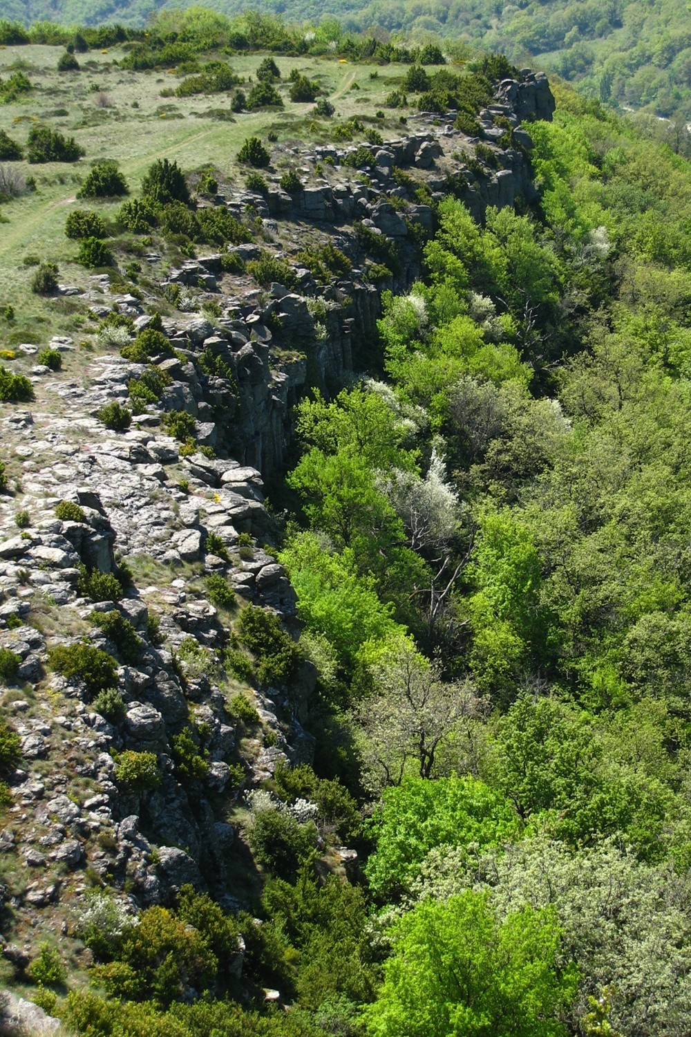 la falaise basaltique, potentiel de site école pour du TA?