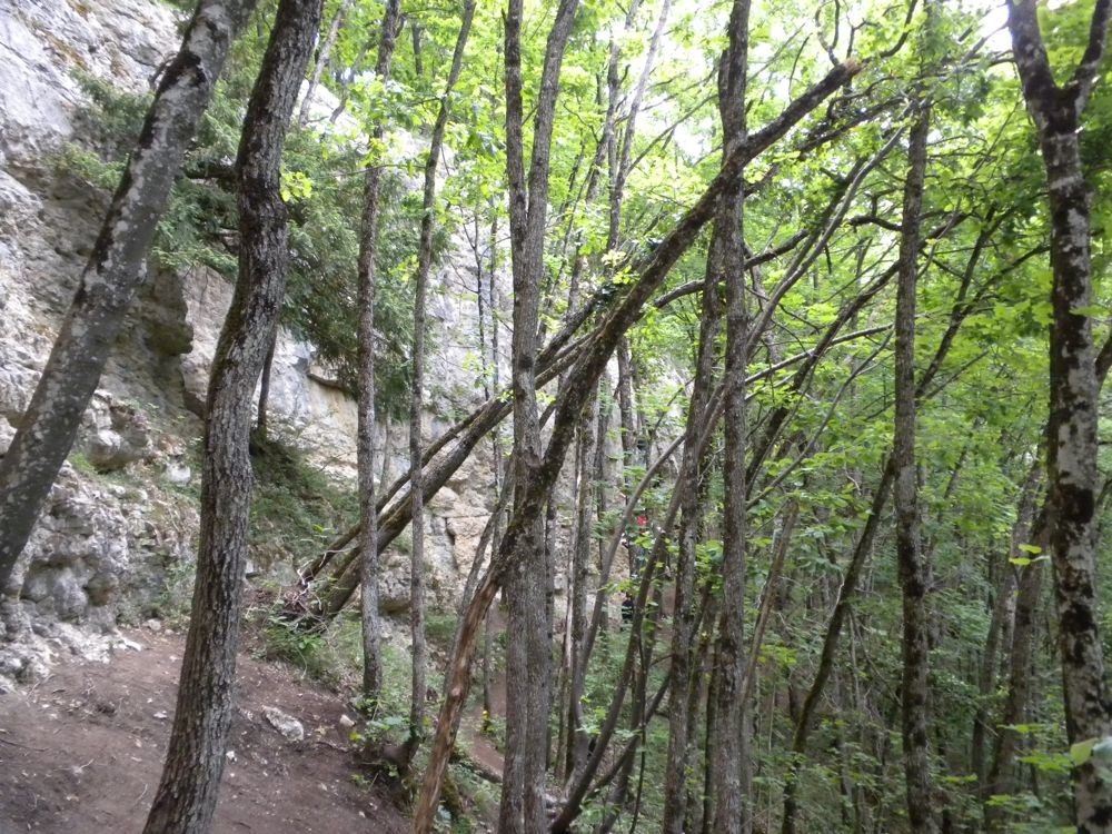 Saint-Loup: Le Chaney, Bout du Monde