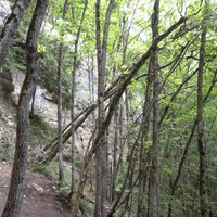 Saint-Loup: Le Chaney, Bout du Monde