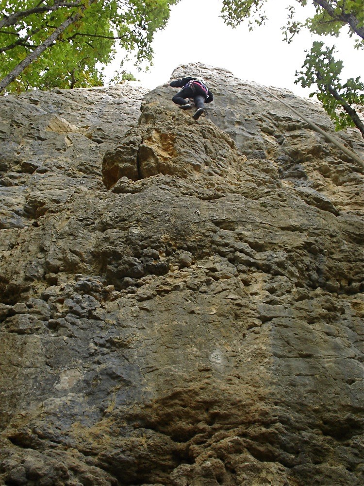 Sous-secteur Bruyères, Lézard Joyeux