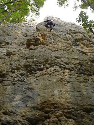 Sous-secteur Bruyères, Lézard Joyeux