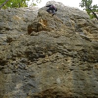 Sous-secteur Bruyères, Lézard Joyeux
