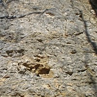 Sous.sect. Pros, voie Guides de Alpes