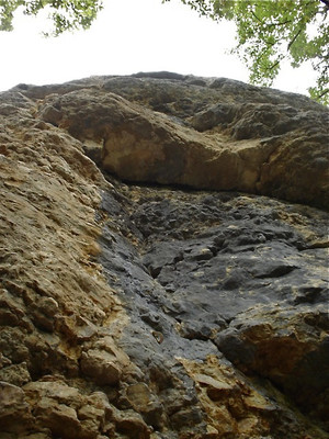 Bruyères: Lézard…, 6c