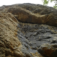 Bruyères: Lézard…, 6c