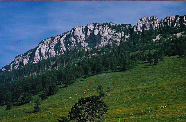 Aiguilles: la face; au centre, le surplomb des Choucas ouvert en 1967 par D.Cochand, M. Demont et C. Forestier, tous guides