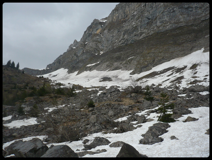 La limite skiée aujourd'hui, vers 1400 mètres, à droite du refuge de Folly quand on le regarde en montant