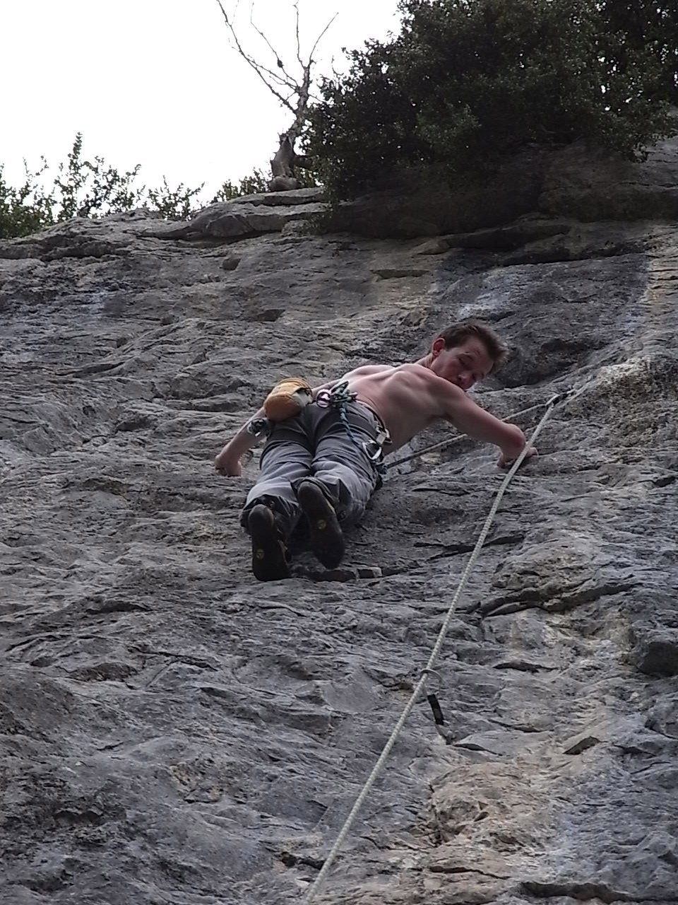 dans le haut de space monkey (super zoom)