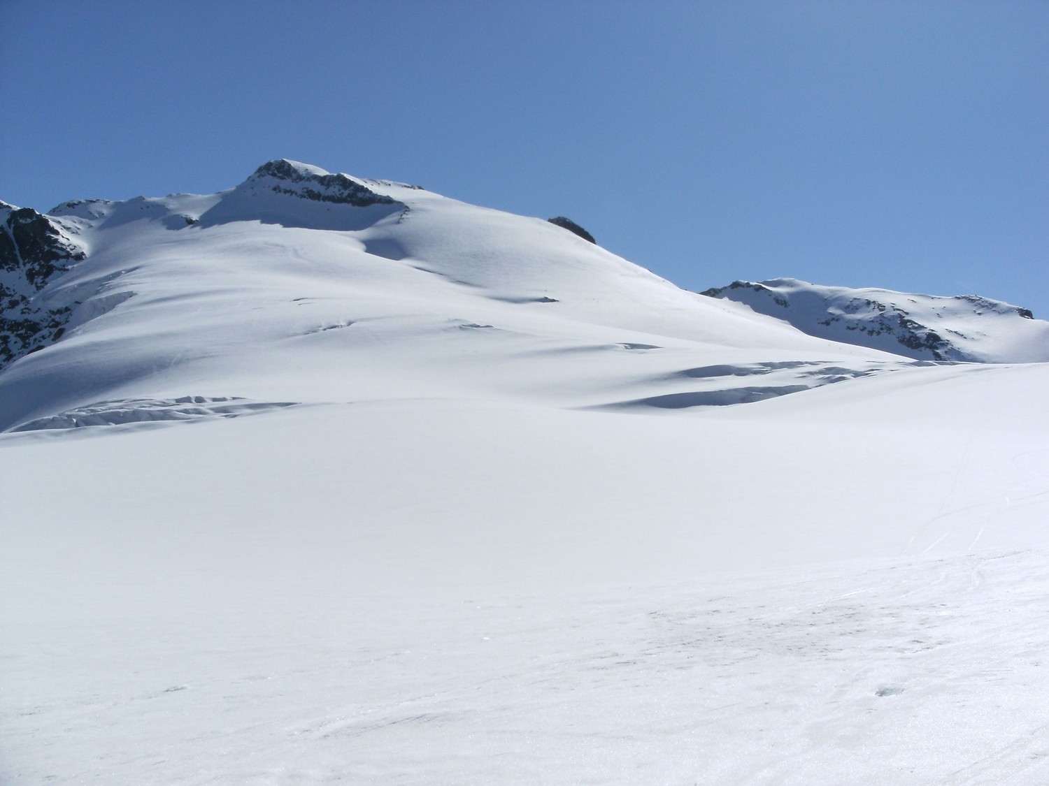 Sustenhorn