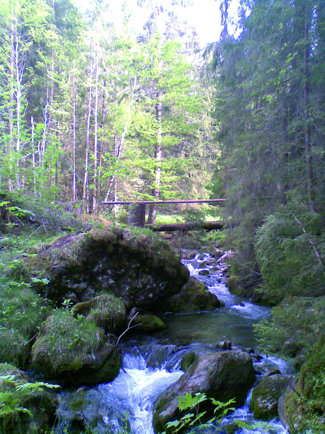 Torrent du Bronze