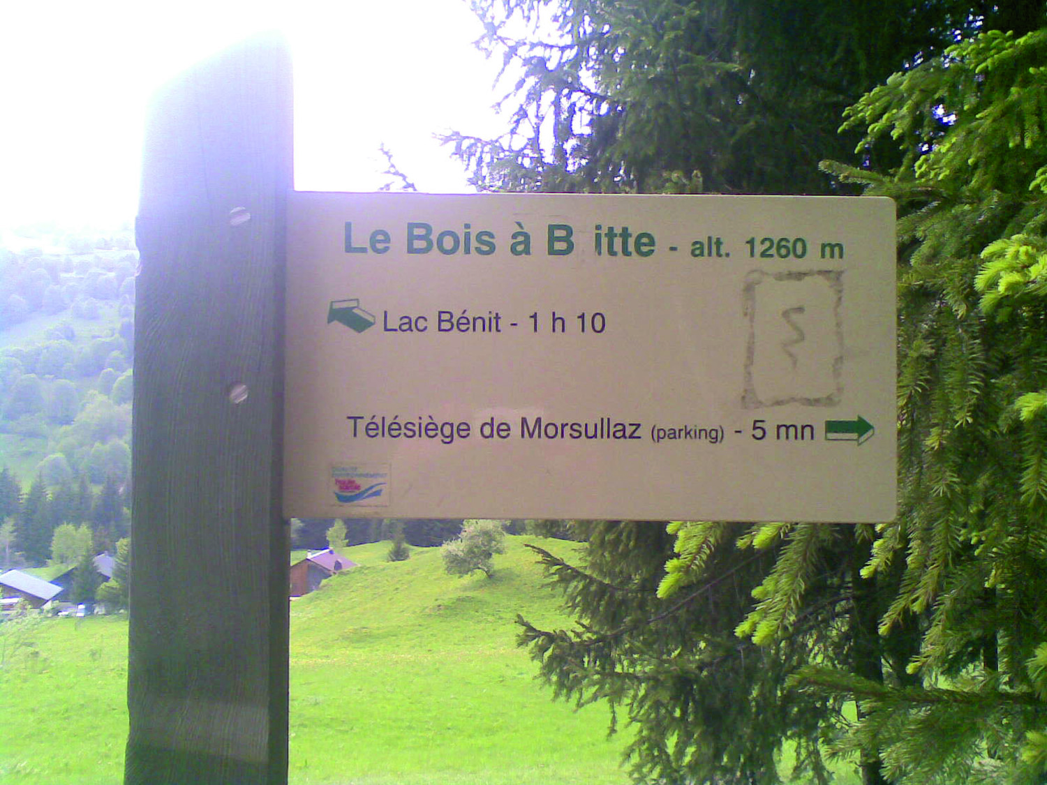 La forêt de Bi..tte?