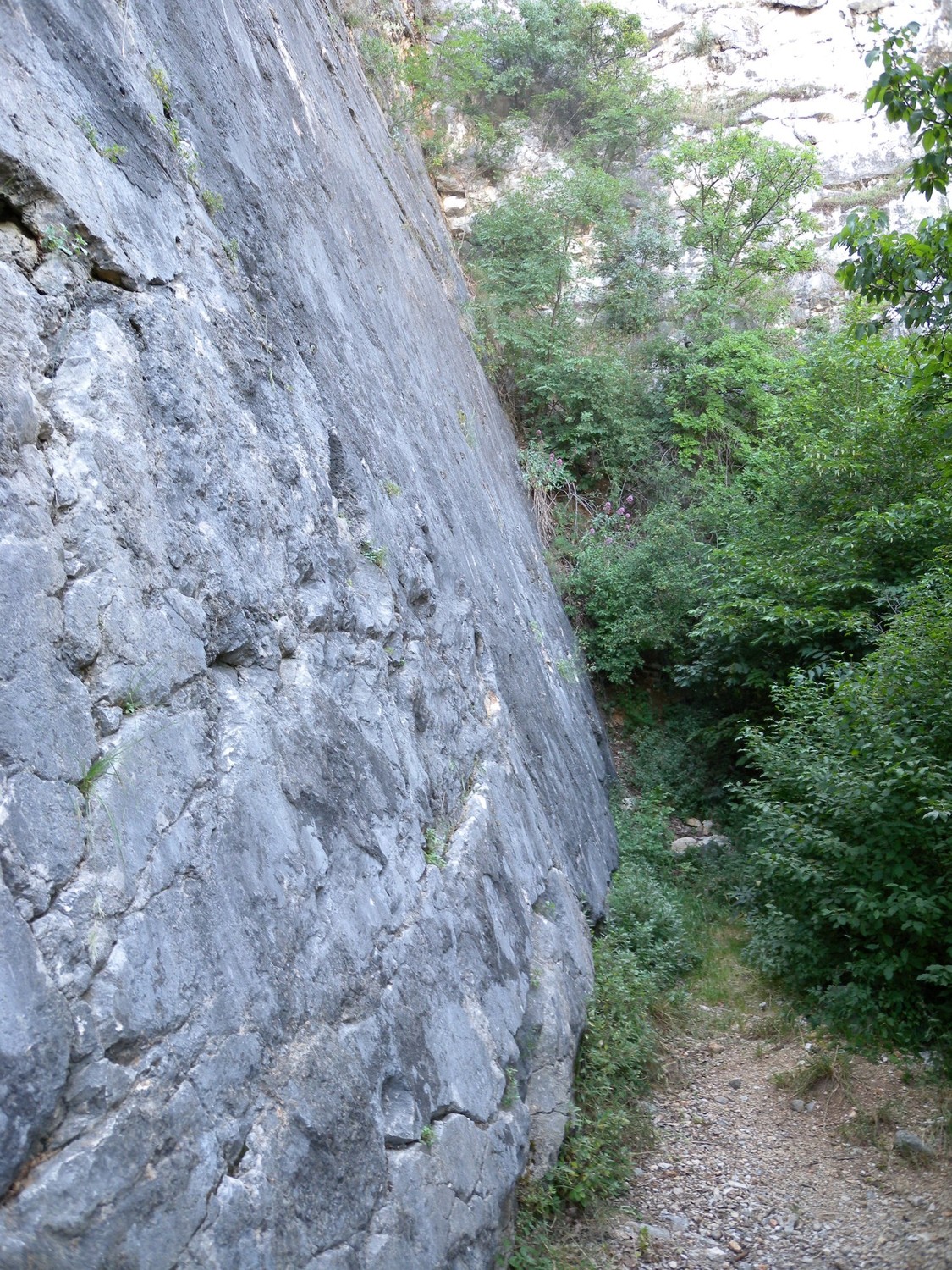 Virle settore Est