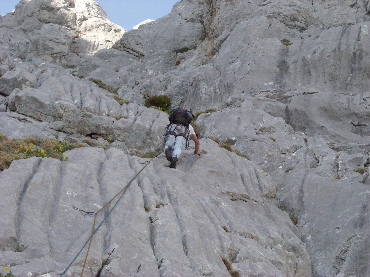 Gino dans L7 de "dzérat pas".
