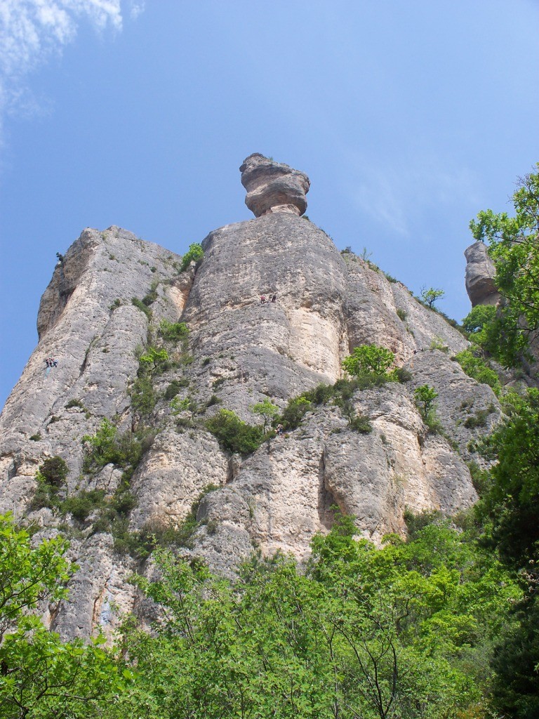 vu d'ensemble