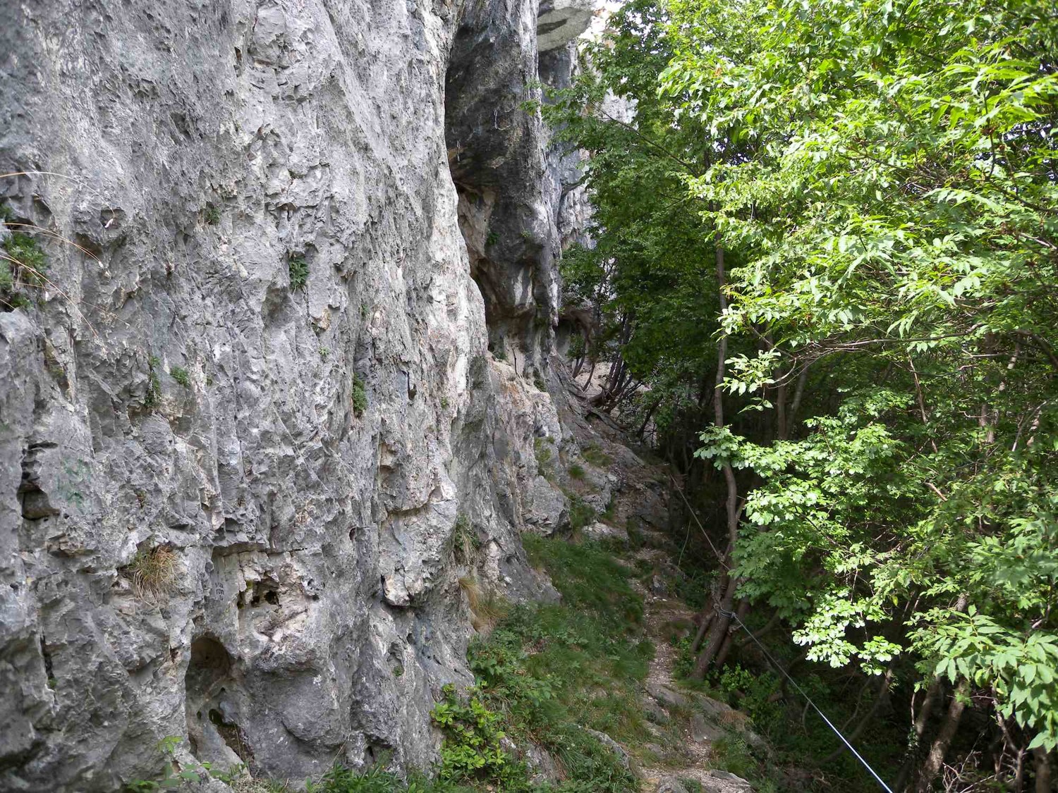 Parte centrale della falesia