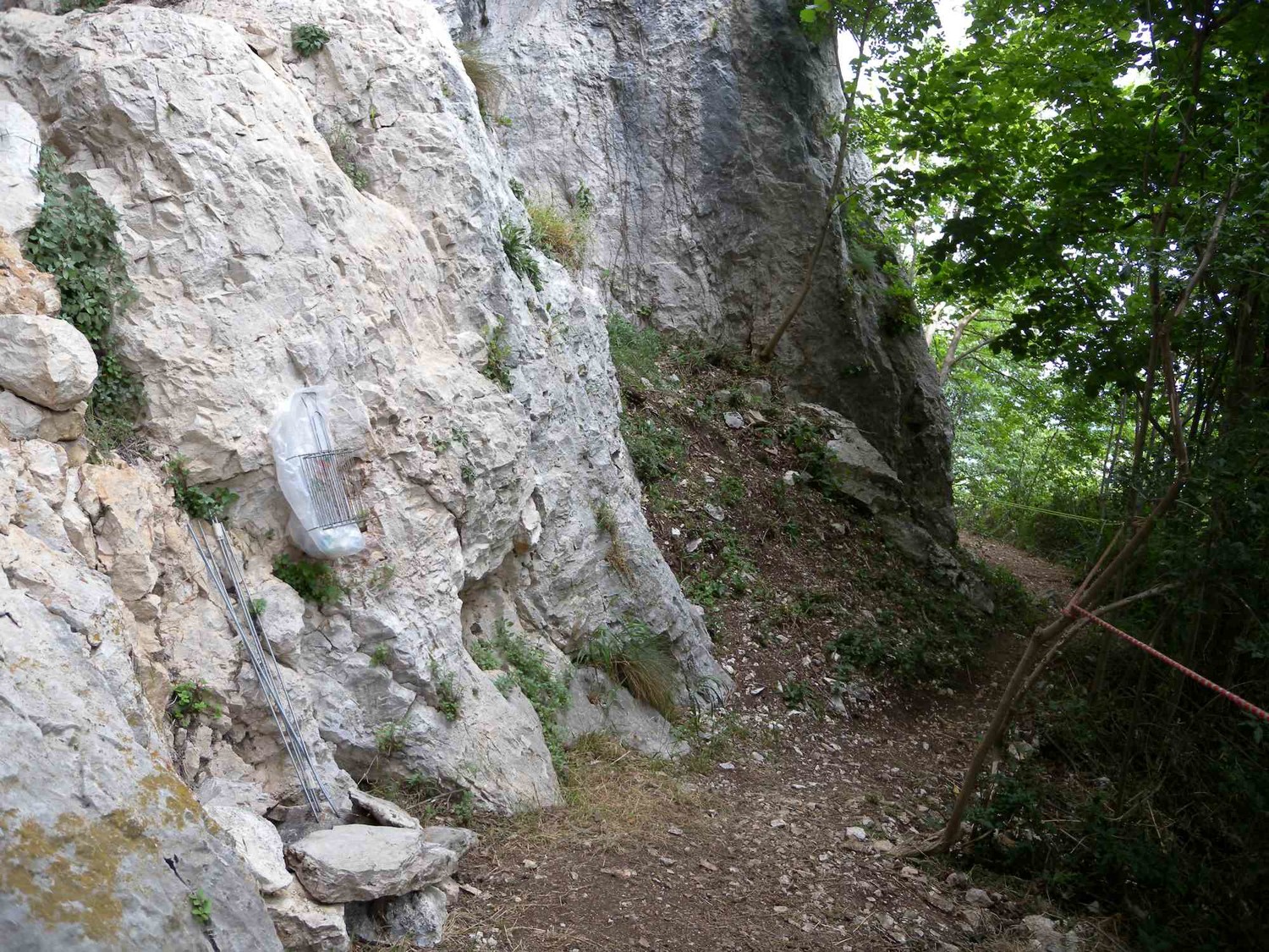 Zona Costine
