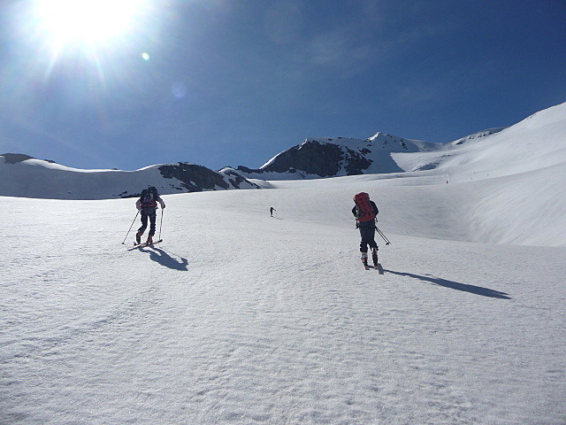 Antécime visible au fond