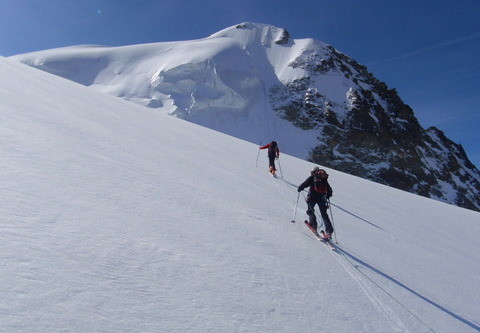sous tete blanche