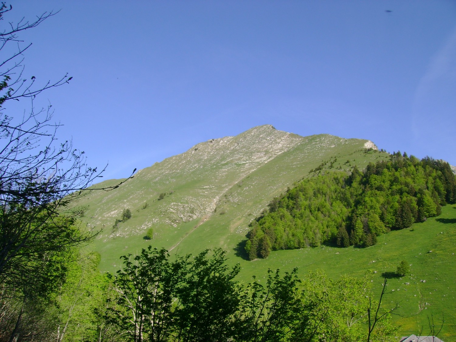 Les Coursis vu du chalet à 1241m