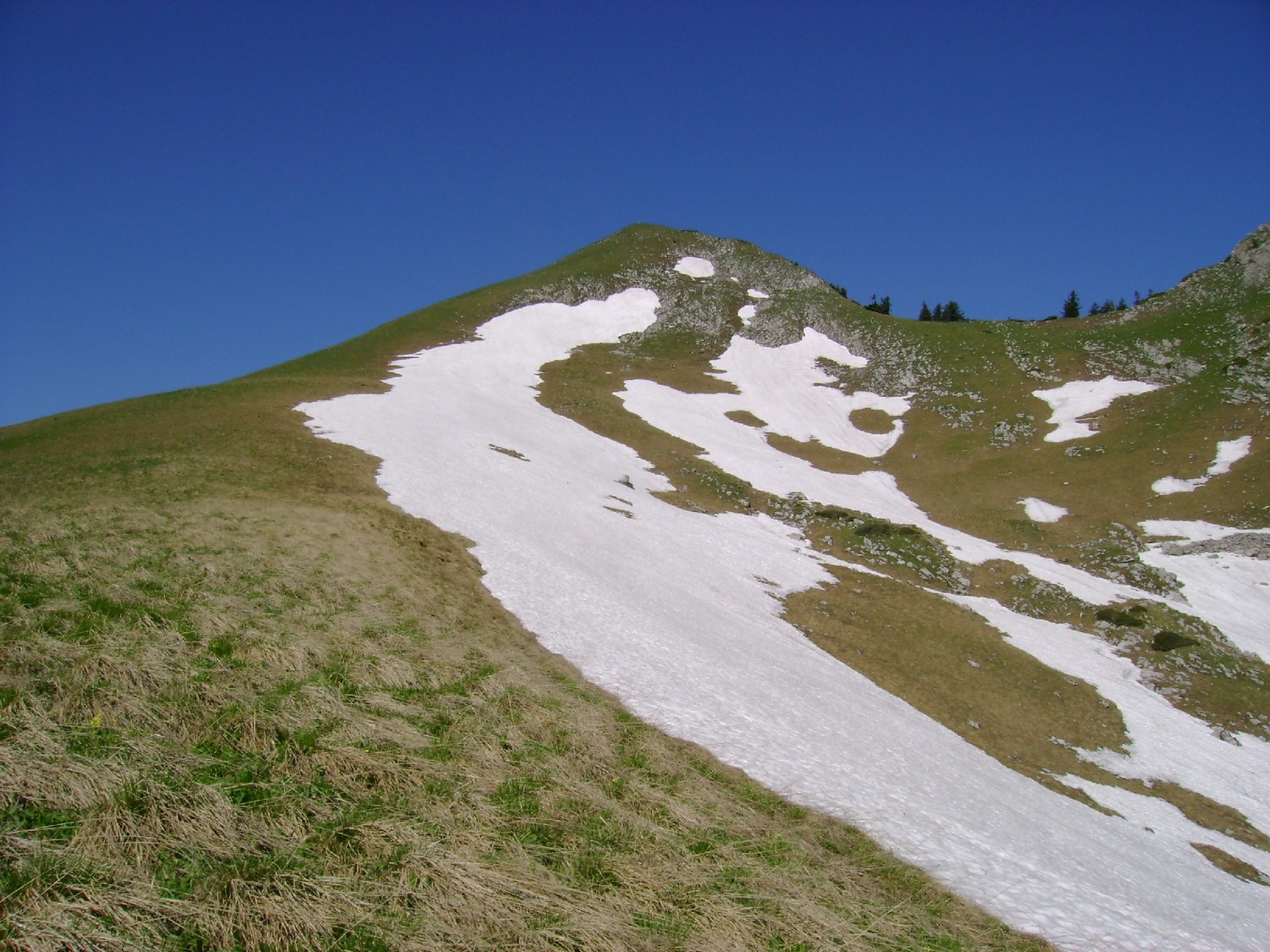 Dent de Hautaudon: les derniers mètres dans le versant NE