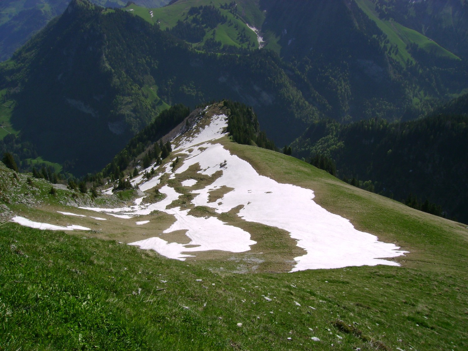 Dent de Hautaudon: la crête finale du versant NE vu du sommet