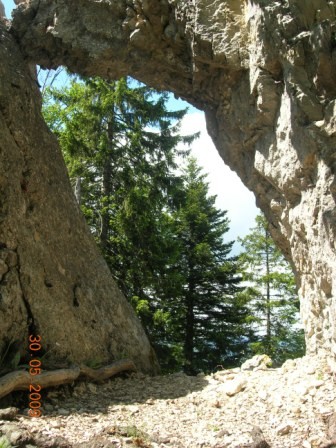 arc au sommet du dos d'ane