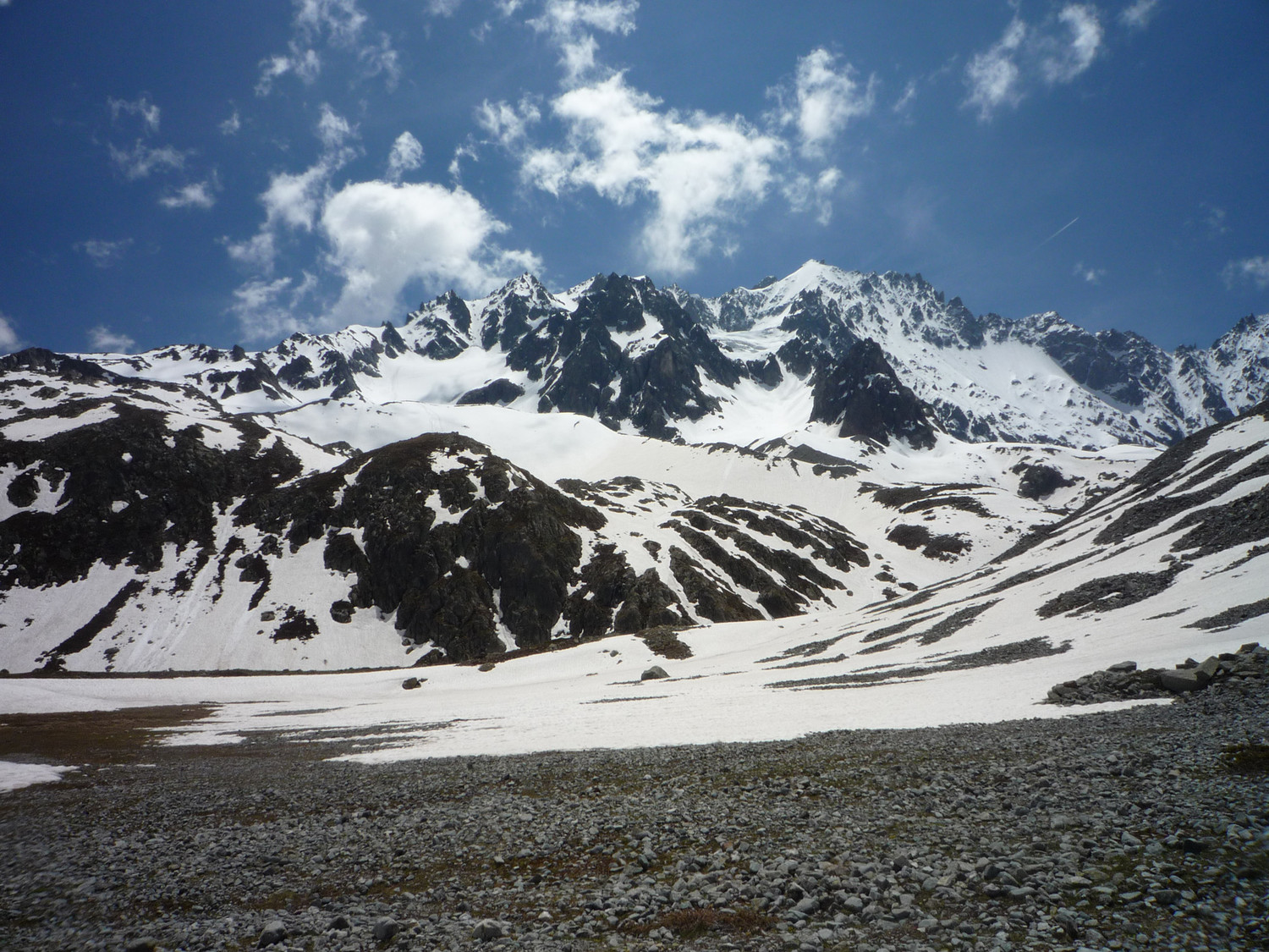Les Agneaux