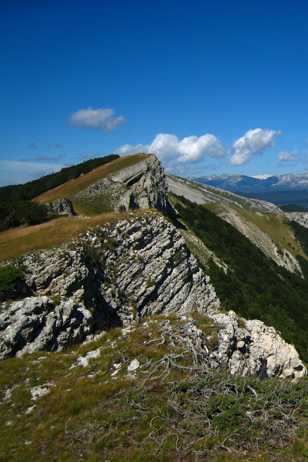 Point 1561m au NE du But de l'Aiglette