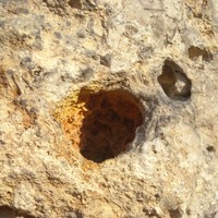 Meulière : très bel exemple de mono-doigt.