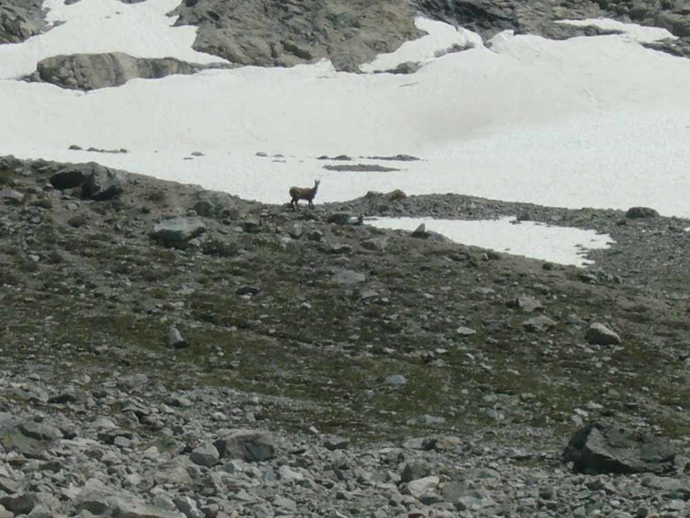 mon pote à distance toujours respectable