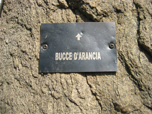 Plaquette