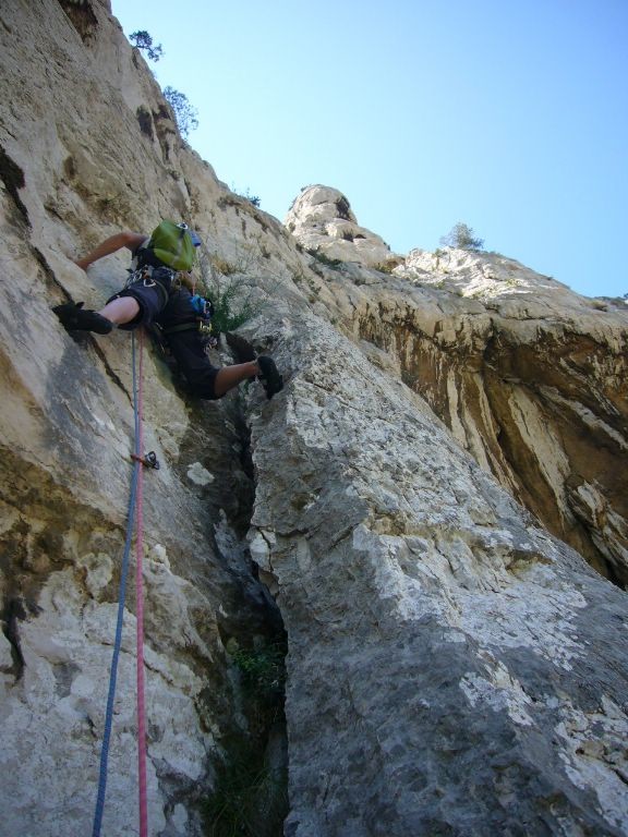 tostine L1
