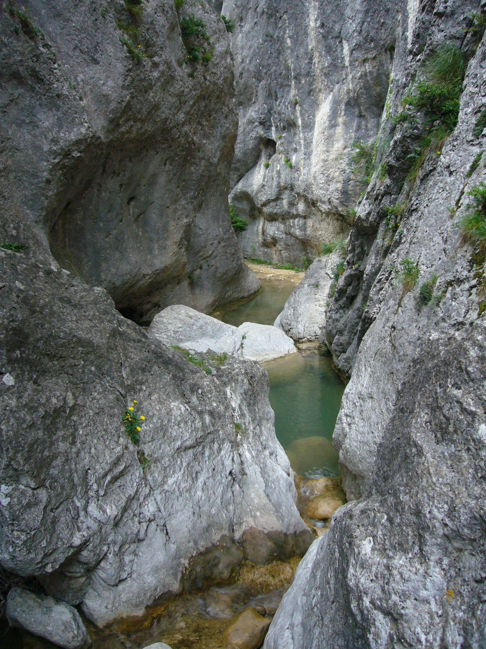 Combe d'Oyans : les Gorges