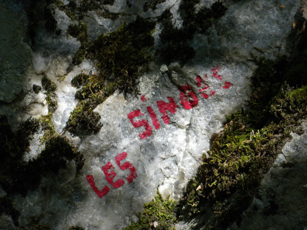 La Fory, les Singes