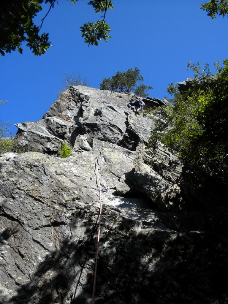 La Fory, les Singes, Vincent dans L1