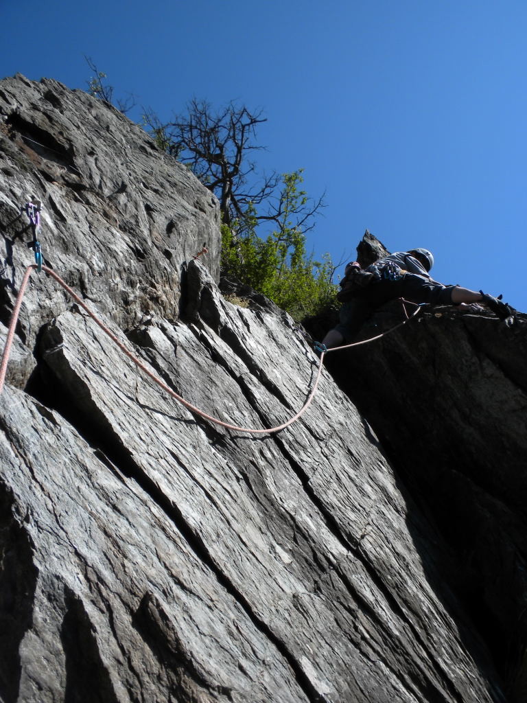 La Fory, les Singes, Vincent dans L2