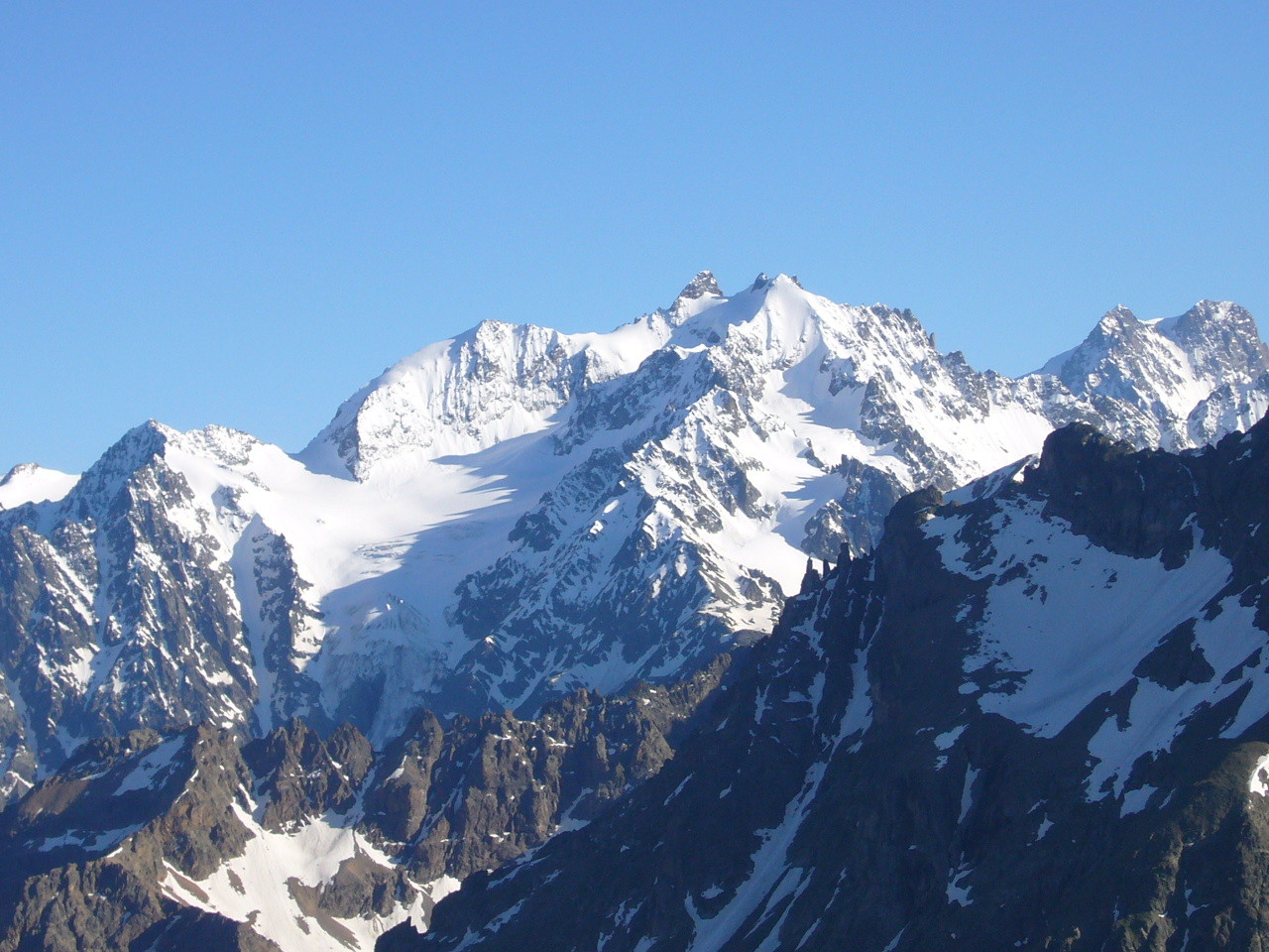 Xième photo des agneaux depuis les cerces ...