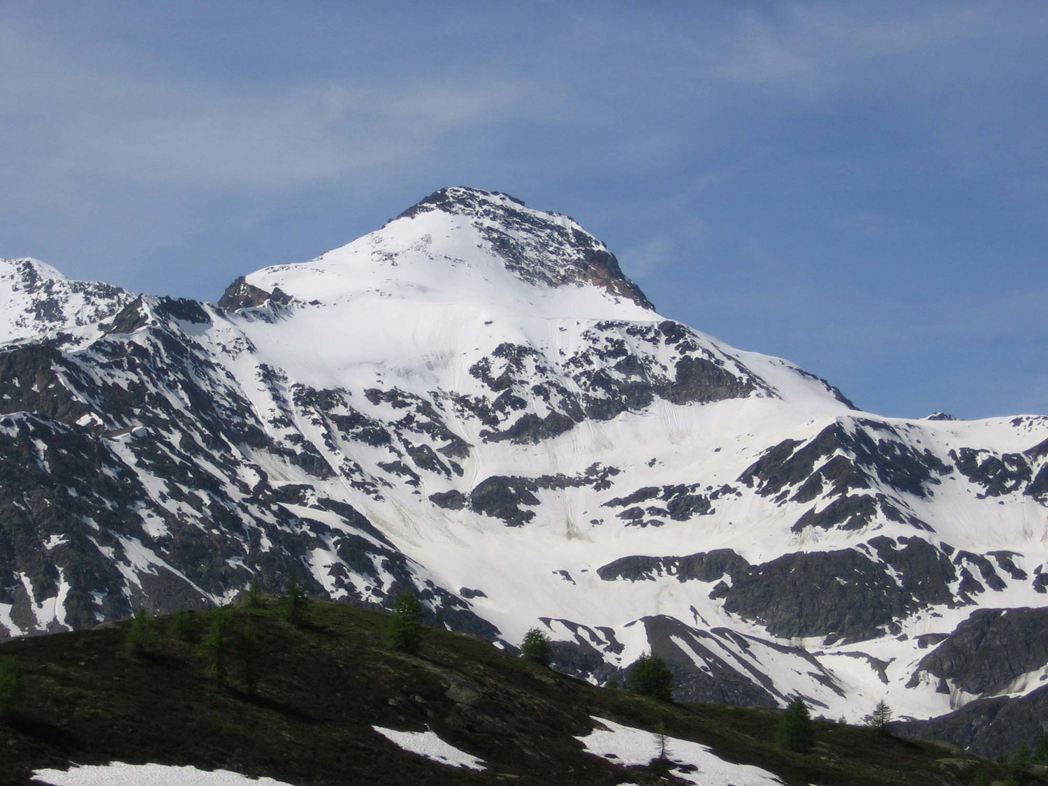 Condizioni Boshorn