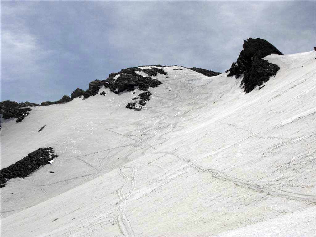 Bonnes traces du jour !!!