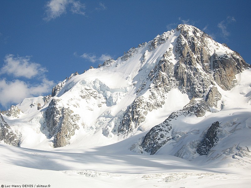Le Chardonnet