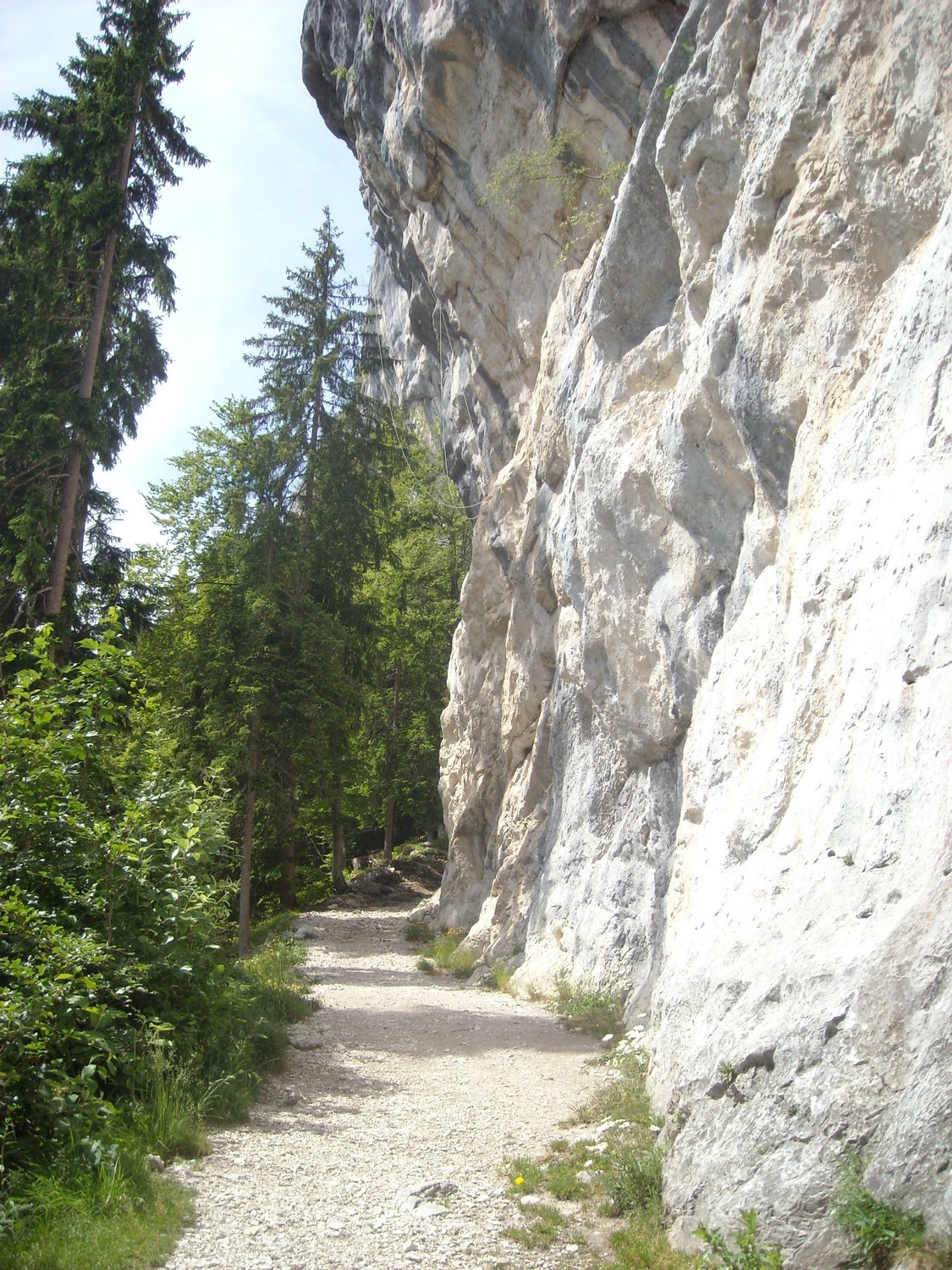 La falaise telle qu'on la voit quand on arrive.