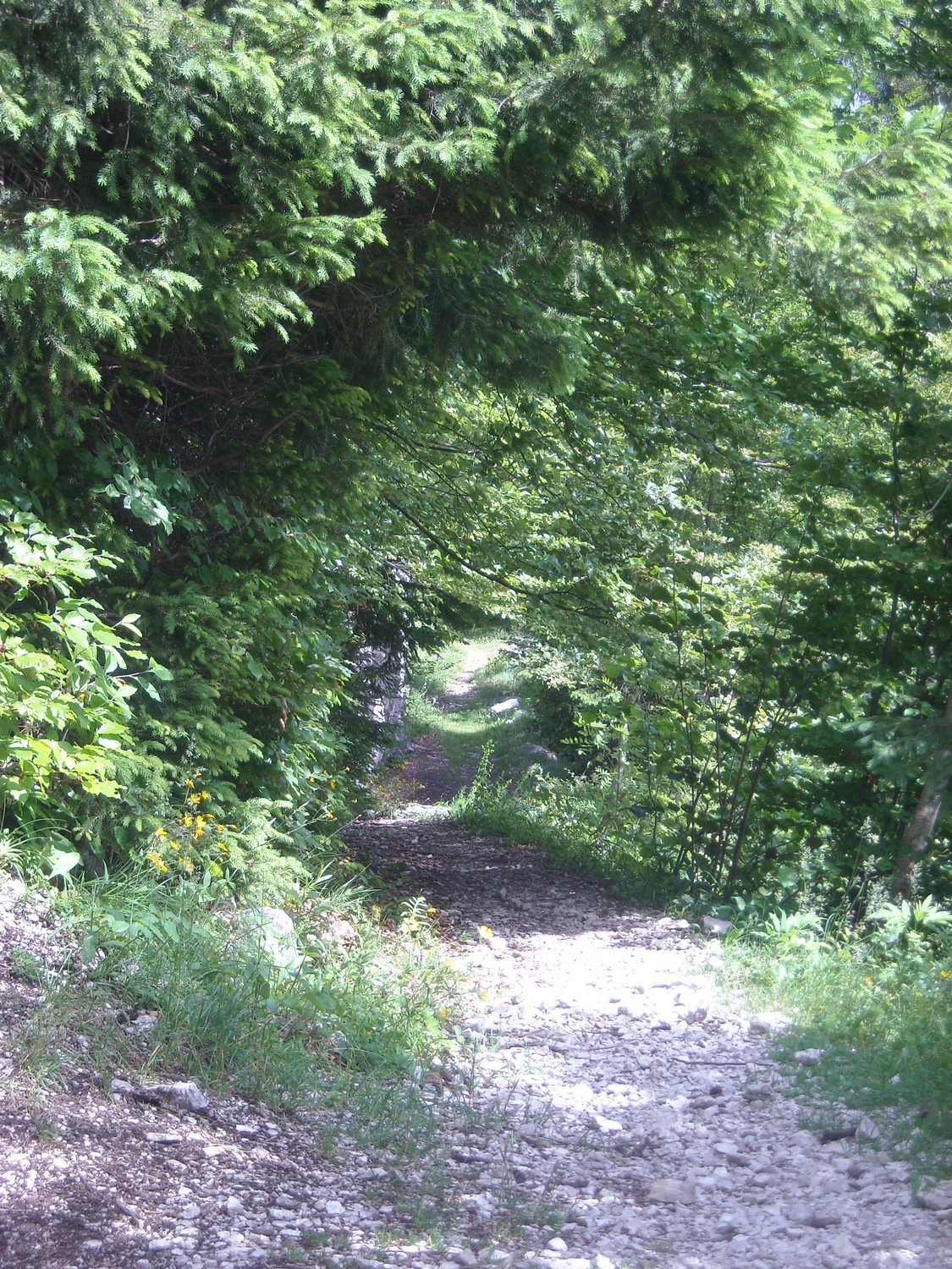 Vue sur le sympathique sentier d'accès.