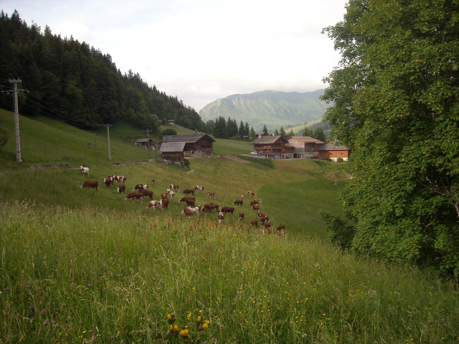Rural...