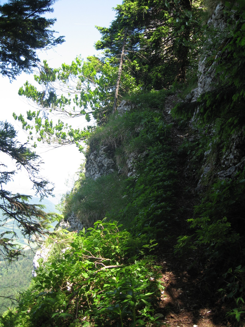 Vires du Pas Brochier