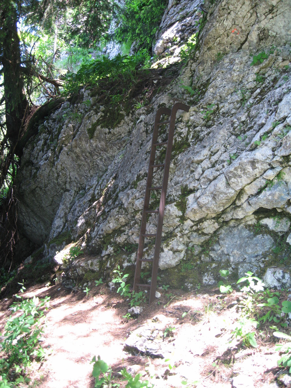 L'échelle du Pas Brochier