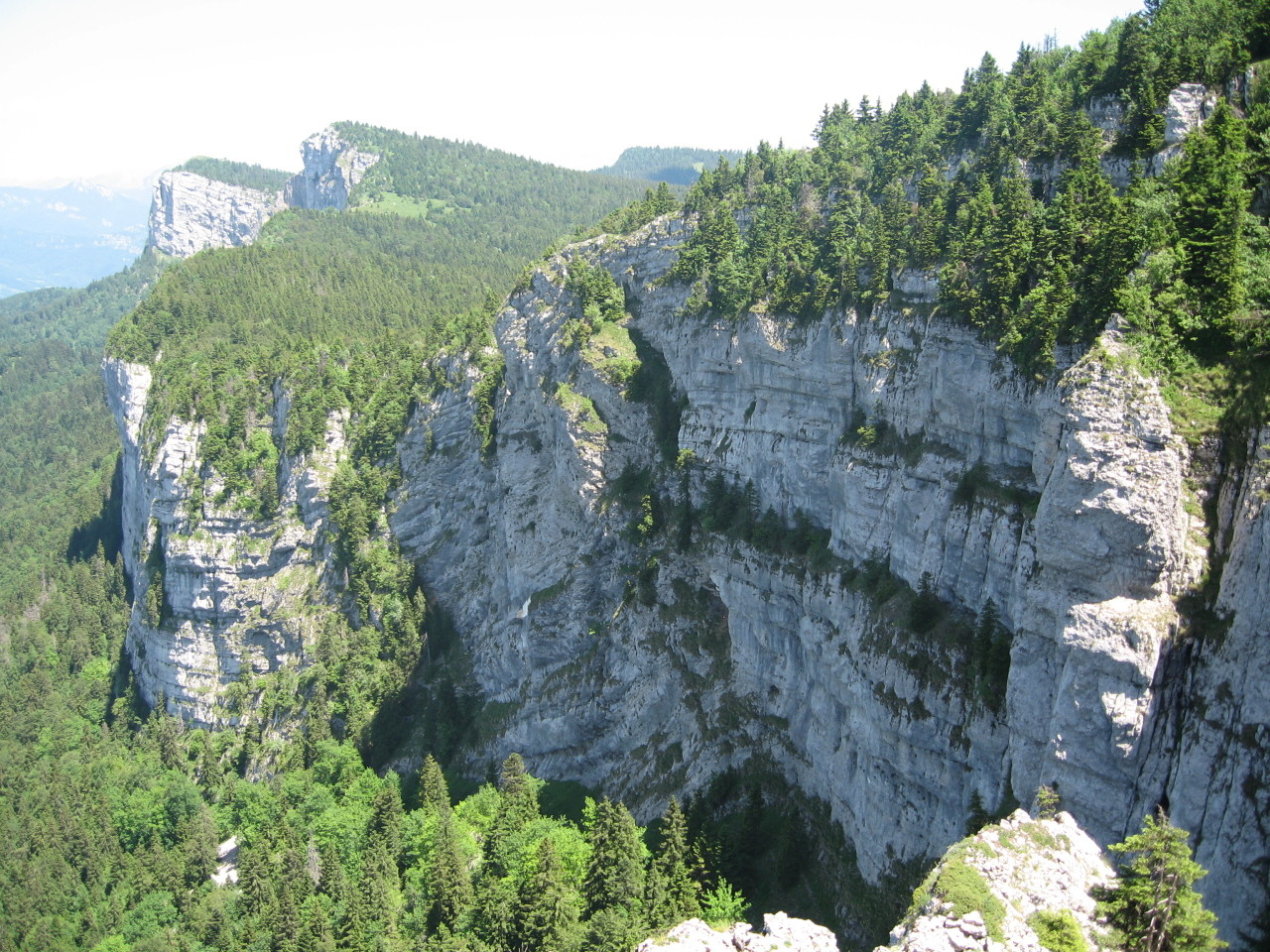 Le Pas Brochier et ses arbres, à la limite du soleil et de l'ombre