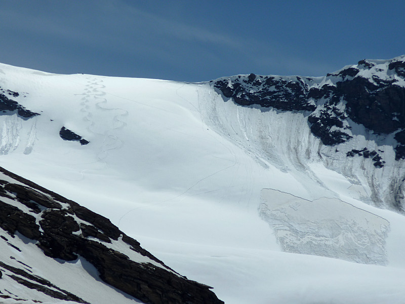 Nos traces et celle d'un chamois