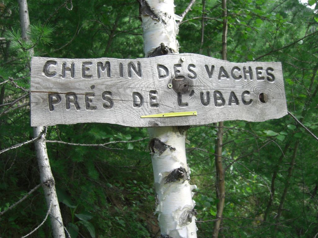 Le chemin des vaches et le balisage jaune