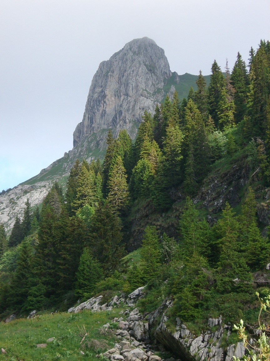 Le Mont Gardy depuis Taney